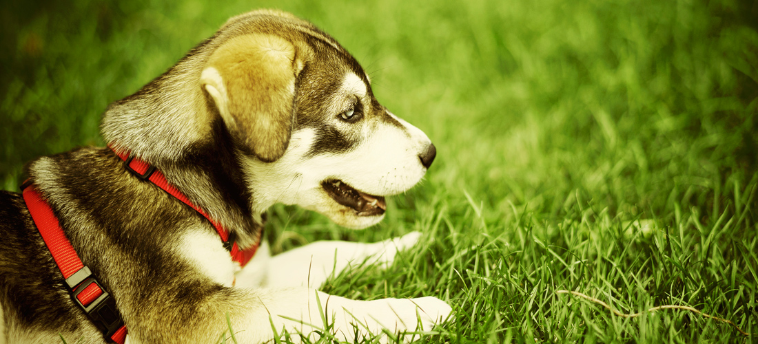 免费ddos平台攻击