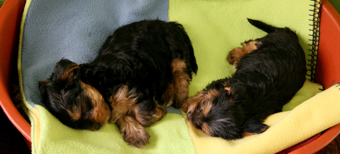 免费ddos平台攻击